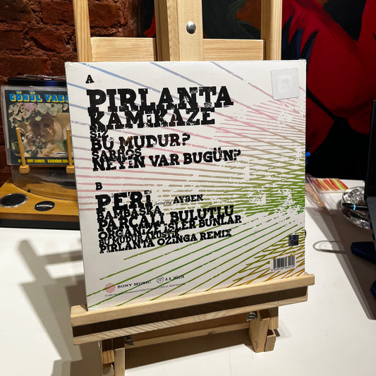 Nil Karaibrahimgil - Tek Taşımı Kendim Aldım