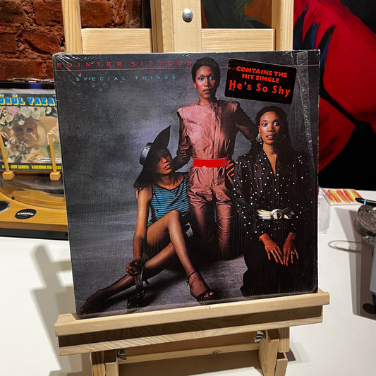 Pointer Sisters - Special Things